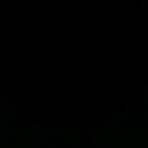 Meet your Posher, Abraham